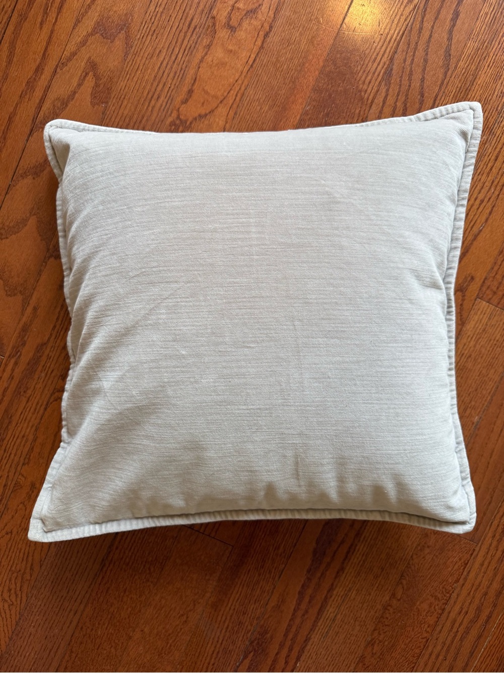 Pottery Barn Light Gray Velvet Square Throw Pillow 20x20